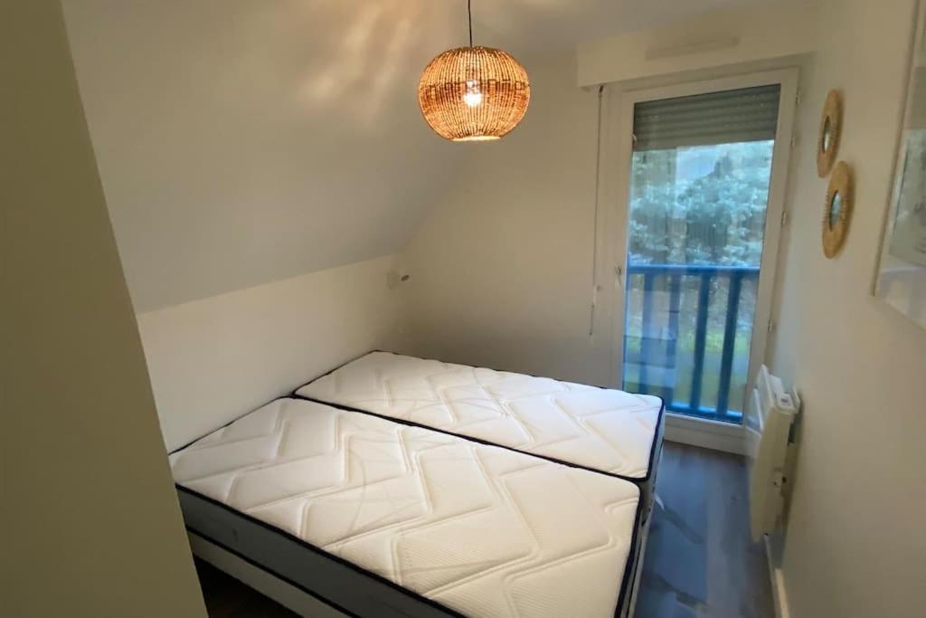 Nouveau ! Dans Arboree Pinwood *