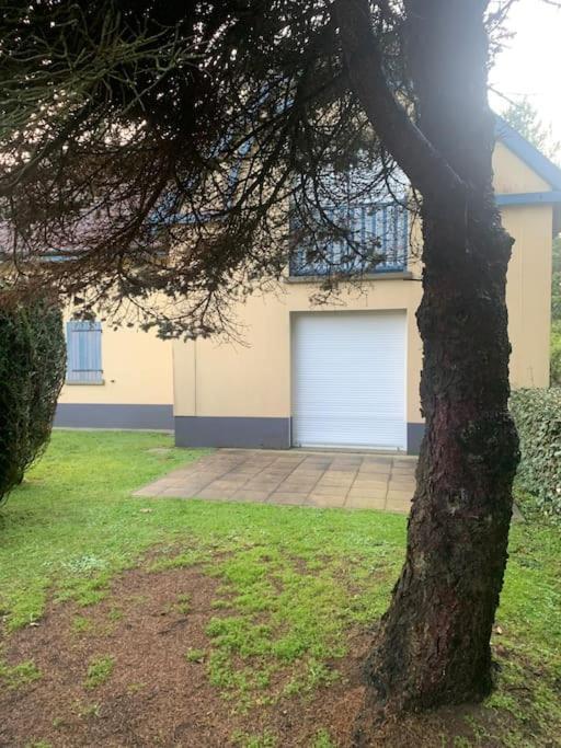 Nouveau ! Dans Arboree Pinwood * Neufchatel-Hardelot
