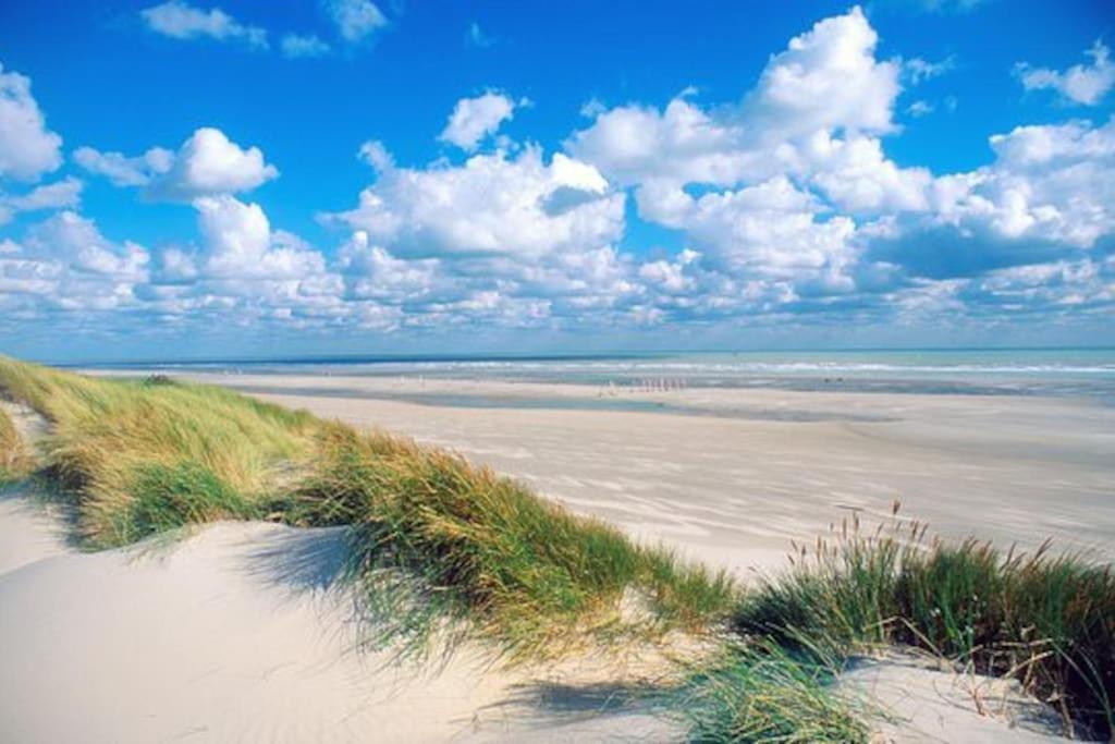 Nouveau ! Dans Arboree Pinwood Holiday home