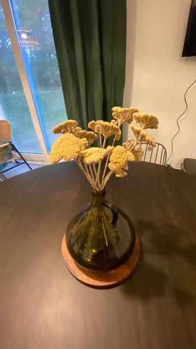 Nouveau ! Dans Arboree Pinwood * Neufchatel-Hardelot